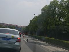 烤扇贝-阿木龙虾(河间路店)