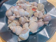 翡翠螺-天宝食坊·啫啫煲大排档(西华路店)