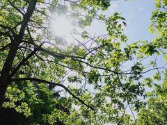 -朝阳体育中心