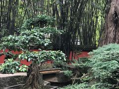 -成都武侯祠博物馆