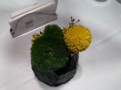 -南堂馆·新川菜(春熙路店)