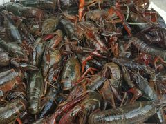 龙虾-王红军龙虾(新民路店)