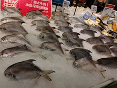 -盒马鲜生(金桥国际广场店)