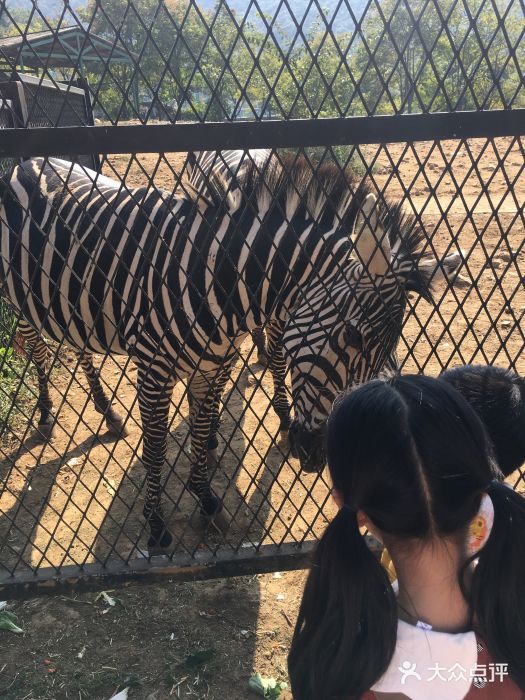 無錫動物園·太湖歡樂園圖片