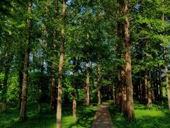 -国家植物园南园