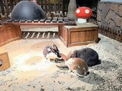 -绿色星球动物主题公园