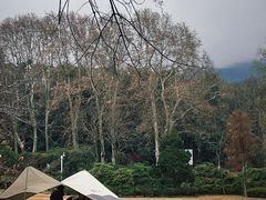-紫金山山顶公园