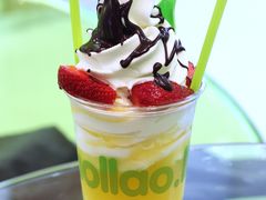 -Salud撒露欧洲冻酸奶(蓝色港湾店)