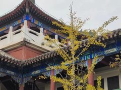 -中国翰园碑林