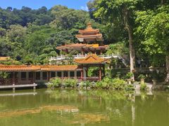 -深圳仙湖植物园
