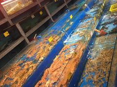 -拉完海鲜大排档(温岭店)