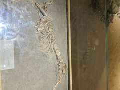 -烟台市博物馆