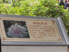 -洛阳市隋唐城遗址植物园