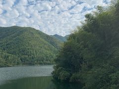 -镇江市南山风景名胜区竹林景区