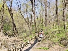 -香炉山国家森林公园