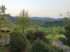 -浙江安吉JW万豪酒店·万豪中餐厅