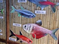 -秦皇岛新澳海底世界