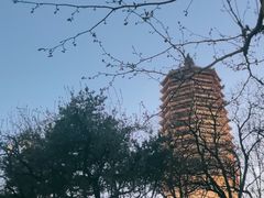 -玲珑塔公园