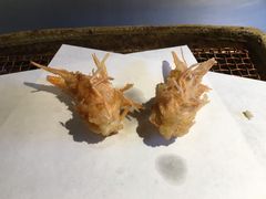 -みかわ是山居