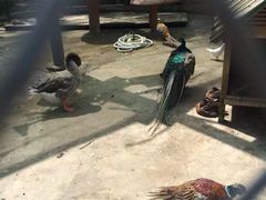 iphone_upload_pic-陆地游轮吉林神农温泉