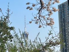 -红星桥(地铁站)