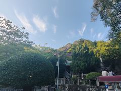 -南普陀素菜馆