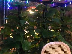 -周三的情书花园餐厅(江北店)