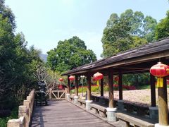 -广州市流溪河国家森林公园
