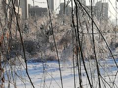 -长春公园(普阳街道)