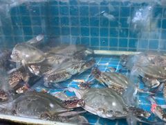 -兆辉木炭海鲜烧烤·海鲜小炒