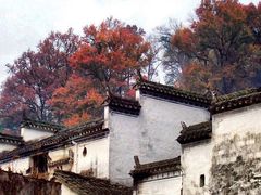 -婺源风景区
