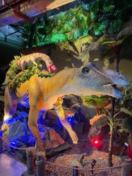 -恐龙探索乐园(磁器口店)