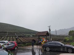 -听风阁农家私房菜茶楼(龙坞店)