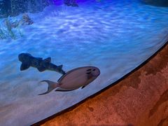 -沈阳海洋探索中心