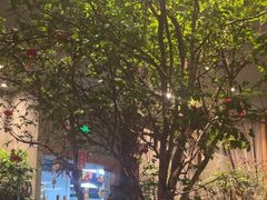 -森SPA·泰式按摩·精油Massage(宝安中心店)