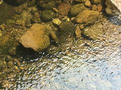 -福建天门山