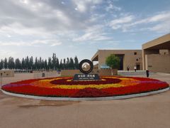 -老毛手抓·盐池滩羊非遗手抓(宁夏总店)