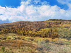 -塞罕坝国家级自然保护区