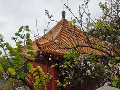 -南沙天后宫景区