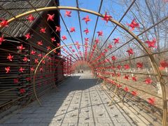 -西青郊野公园
