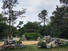 -菊花台公园