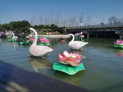 -桐乡凤凰湖
