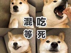 -三番火辣串串香(总店)