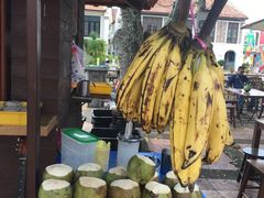 -马六甲鸡场街