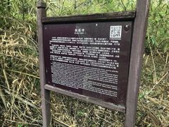 -丹山赤水风景名胜区