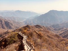 景点-大岭沟猕猴桃谷风景区