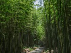 -海窝子古镇
