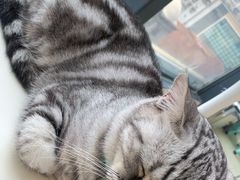 -怪兽屋·羊驼·猫咖·狗咖(俊华广场店)