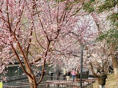 -安定门(地铁站)