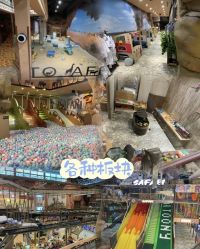 -卡通尼·Safari非洲探索乐园·生日会(金桥国际商业广场店)